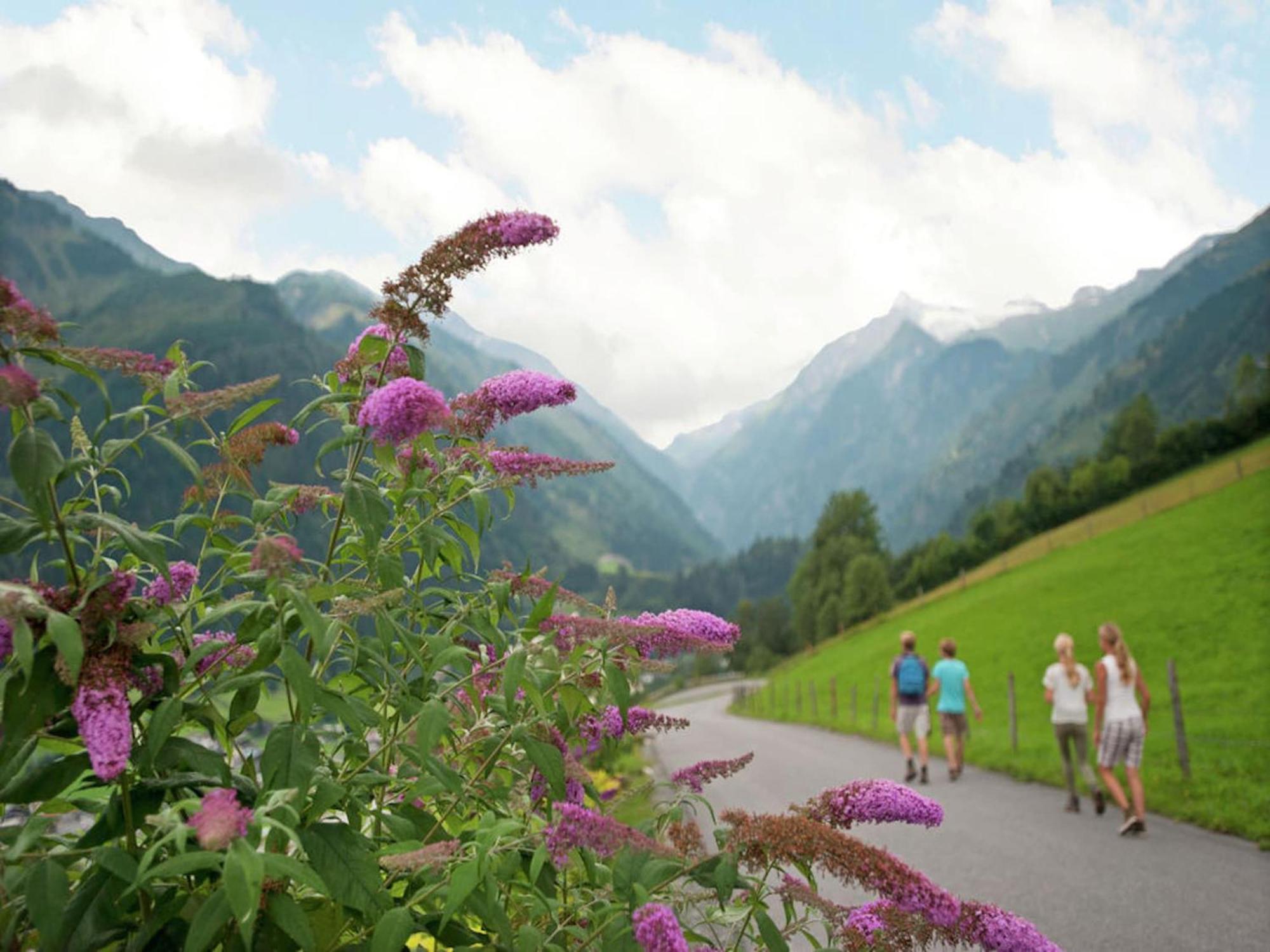 Modern Mansion In Kaprun Near Ski Area ภายนอก รูปภาพ